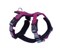 Nobby 80448-64 Daily Walk Comfort Frambuesa; S-M: Pecho: 32-36 cm, Vientre: 48-65 cm