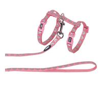 Nobby 88920 Cat Head - Juego de Accesorios para Gatos