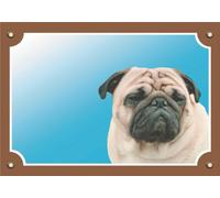 Nobby 93119 Advertencia Carlino