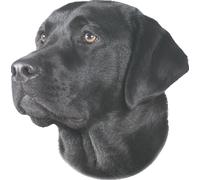 Nobby adhesivo Labrador negro 120 x 150 mm, set de 2