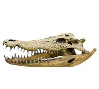 Nobby Adorno de Acuario con Forma de Calavera de cocodrilo, 47,5 x 20,5 x 16 cm