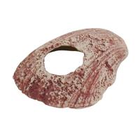 Nobby Aqua Ornaments - Concha (10,8 x 12,5 x 5 cm)