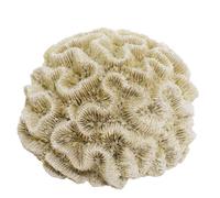 Nobby Aqua Ornaments Coral 15,5 x 14 x 8,5 cm