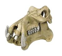 Nobby Aqua Ornaments - Espátula para Agua (23,2 x 17 x 14,8 cm, 1 Unidad)