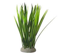Nobby Aqua Ornaments VALLISNERIA 6,5 x 6,5 x 16 cm
