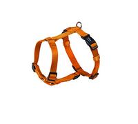 Nobby correa "Classic" Pecho: 50-70 cm, B: 20 mm naranja