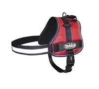 Nobby arnes "SEGURO" Circunferencia: 65-80 cm, A: 40 mm negro