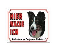 Nobby Border Collie - Señal de Advertencia (12 x 3,5 cm), Color Amarillo