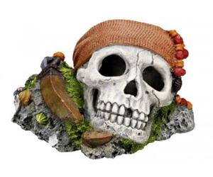 Nobby Calavera con Plantas Acuario Adornos, 19,5 x 16 x 14 cm