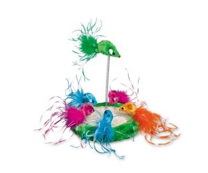 Nobby Cat - Cancha de Juego (19 cm)