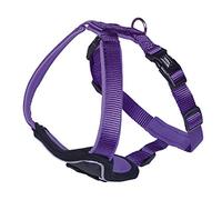 Nobby Classic Preno 80736 38 - Arnés cómodo, Color Morado