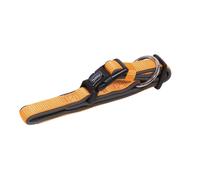 Nobby collar "Classic Preno" L: 450-65 cm, B: 25/35 mm naranja / gris