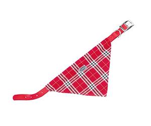 Nobby Collar con Bufanda