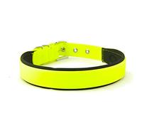 Nobby, Collar de Perro, 45 - 55 cm/25 mm, Amarillo neón