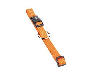 Nobby Collar de Perro clásico, 30-45 cm/15 mm, Beige