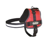 Nobby collar "SEGURO" Circunferencia: 65-80 cm, Ancho: 40 mm rojo