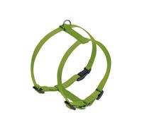 Nobby conjunto "Classic" pecho: 70-90 cm, B: 25 mm verde claro