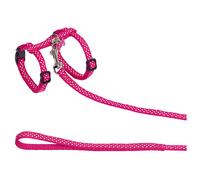 Nobby Conjunto De Gato Dots Rosa Platos Collar De Nylon Ajustable Seguridad