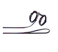 Nobby Conjunto De Gato Star Arcoíris Platos Correa Ajustable De Nylon 15-22 Cm