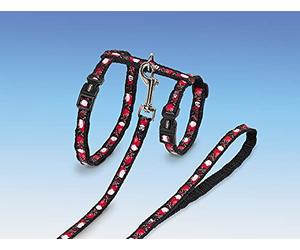 Nobby Corazón Cuello/Correa Gato Set, XL