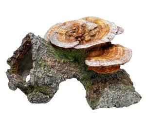 Nobby Cueva de Madera con Setas Adornos Acuario, 18 x 19 x 10 cm