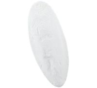 Nobby Cuttle Fish 5-6 Pulgadas, 1 kg