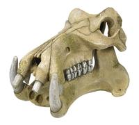 Nobby Aqua Ornaments - Espátula para Agua (23,2 x 17 x 14,8 cm, 1 Unidad)