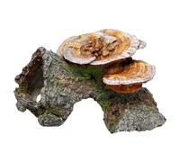 Nobby Cueva de Madera con Setas Adornos Acuario, 18 x 19 x 10 cm