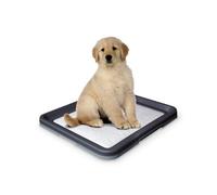 Nobby Doggy Trainer, Grande, 62,5 x 48 x 3,8 cm