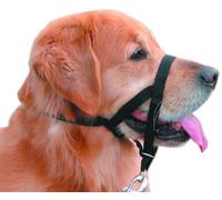 Nobby Easy Leader - Bozal + arnés para Perro