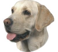 Nobby etiqueta Labrador claro 120 x 150 mm, set de 2