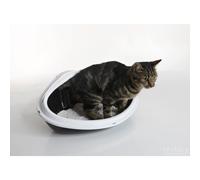 Nobby Inodoro Concha XL Para Gatos 51x38x22,5 Cm Verde/Gris