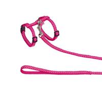 Nobby Juego de Gatos Dots, Color Rosa