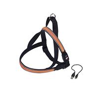 Nobby Norwger Flash Mesh - Arnés (Talla XL: 80-100 cm + 56 cm, Ancho: 38 mm), Color Naranja