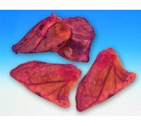 Nobby - Orejas de Cerdo para Perro, 4,5 kg, 100 Unidades