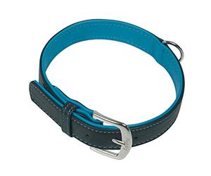 Nobby Pacific Collar, 37 cm, Turquesa