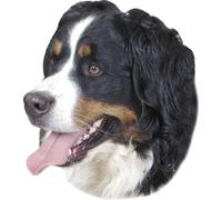 Nobby Pegatina Perro de Montaña de Berna 120 x 150 mm, paquete de 2