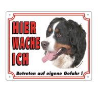 Nobby Placa de advertencia Perro de montaña de Berna 250 x 200 mm