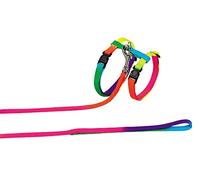 Nobby Rainbow Cat Set Juguete