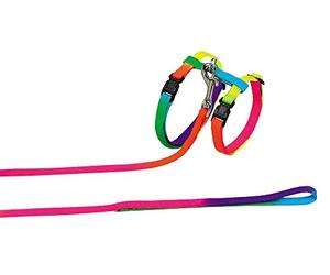 Nobby Rainbow Cat Set Juguete