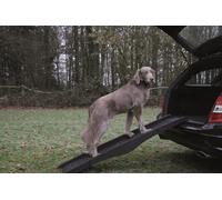 Nobby Plegable rampa para Perro, 40 x 1,52 cm, Negro