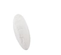 Nobby Sepia-conchas 6-8 pulgadas, caja 1 kg