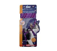 Nobby Set Gatito Gato, Púrpura