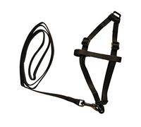Nobby Set Nylon Conejos 1m Negro