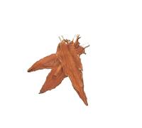 Nobby StarSnack Barbacoa Pollo Stick aprox. 900 g, 13,5 cm