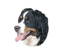 Nobby Sticker Bernese Mountain Dog