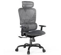 NOBLEWELL Silla de Oficina ergonómica con Respaldo Alto, Silla de Ordenador de Malla con Soporte Lumbar, reposabrazos 3D, Respaldo Doble y reposacabezas Ajustable