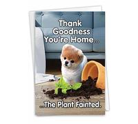 NobleWorks C6872OCB - Tarjeta de felicitación divertida en blanco para todas las ocasiones con sobre de 5 x 7 pulgadas (1 tarjeta)