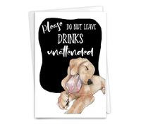 NobleWorks, Divertida tarjeta de felicitación de cumpleaños con sobre de 5 x 7 pulgadas (1 tarjeta) Bday Dog Antics - Unattended C3639DBDG