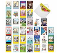 NobleWorks - Paquete variado de 36 tarjetas de cumpleaños divertidas surtidas a granel con sobres, humor vanguardista día B para hombres, mujeres (36 diseños, 1 cada uno) - Favoritos de cumpleaños